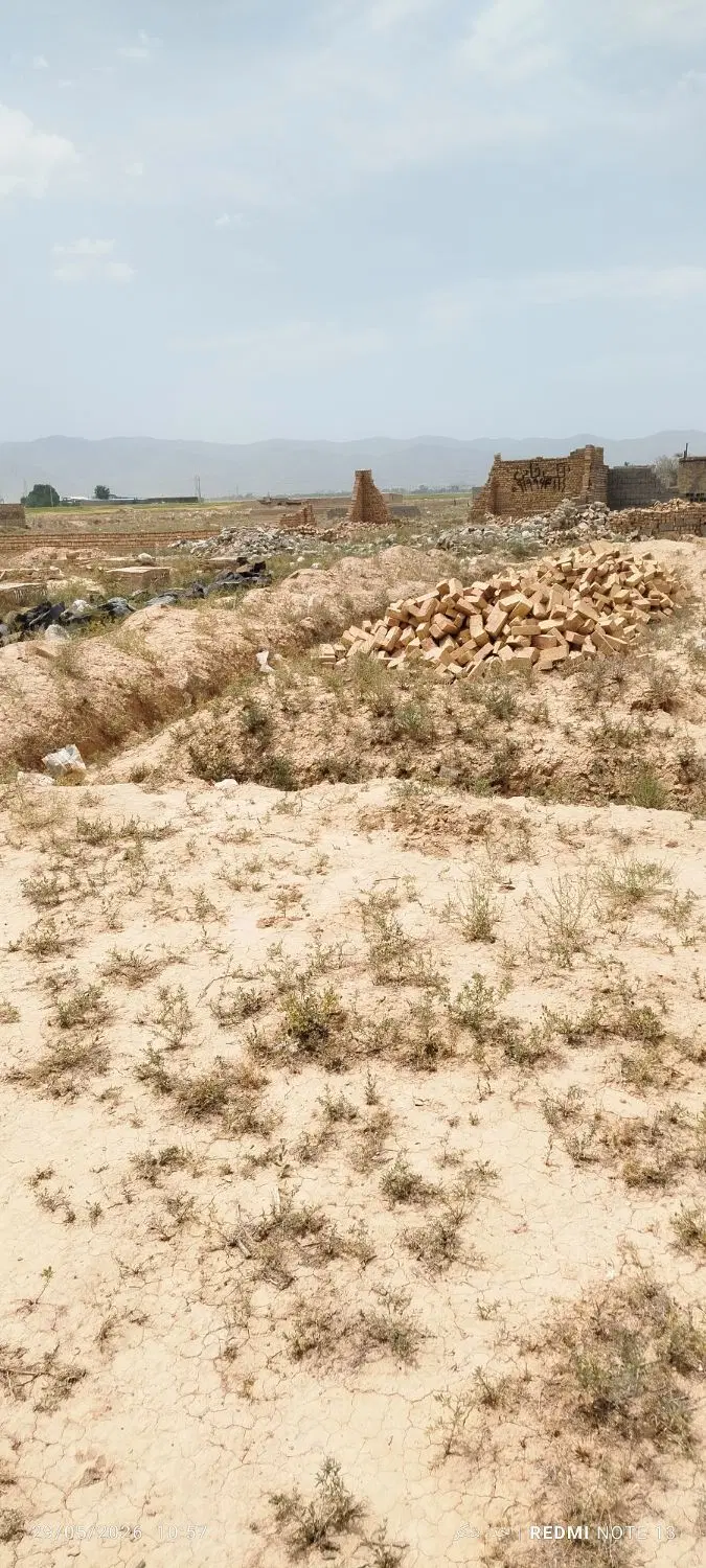 زمین