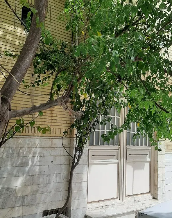 واحد زیرزمین