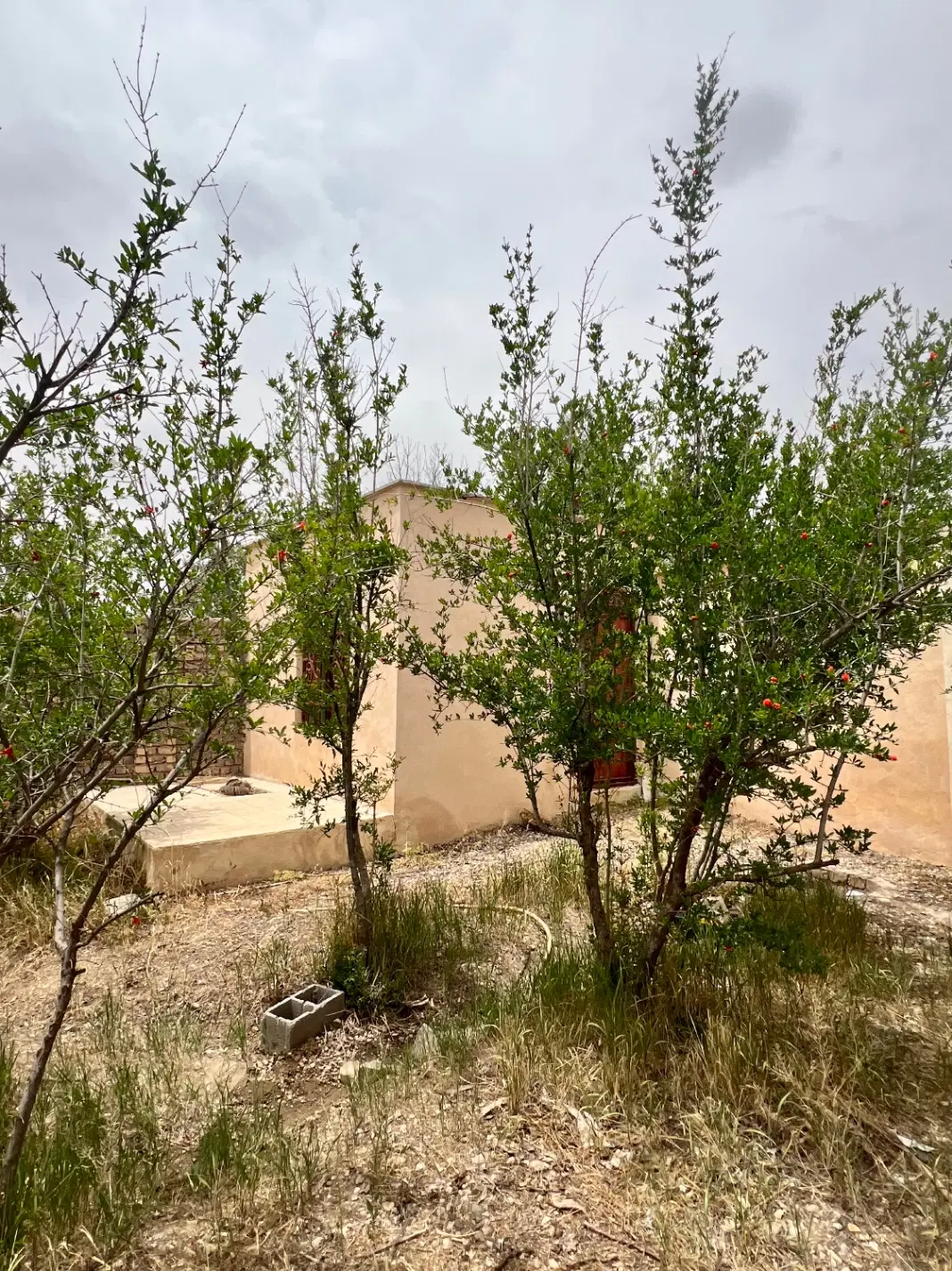 باغ سند دار ۵۸۰ متر دینارآباد