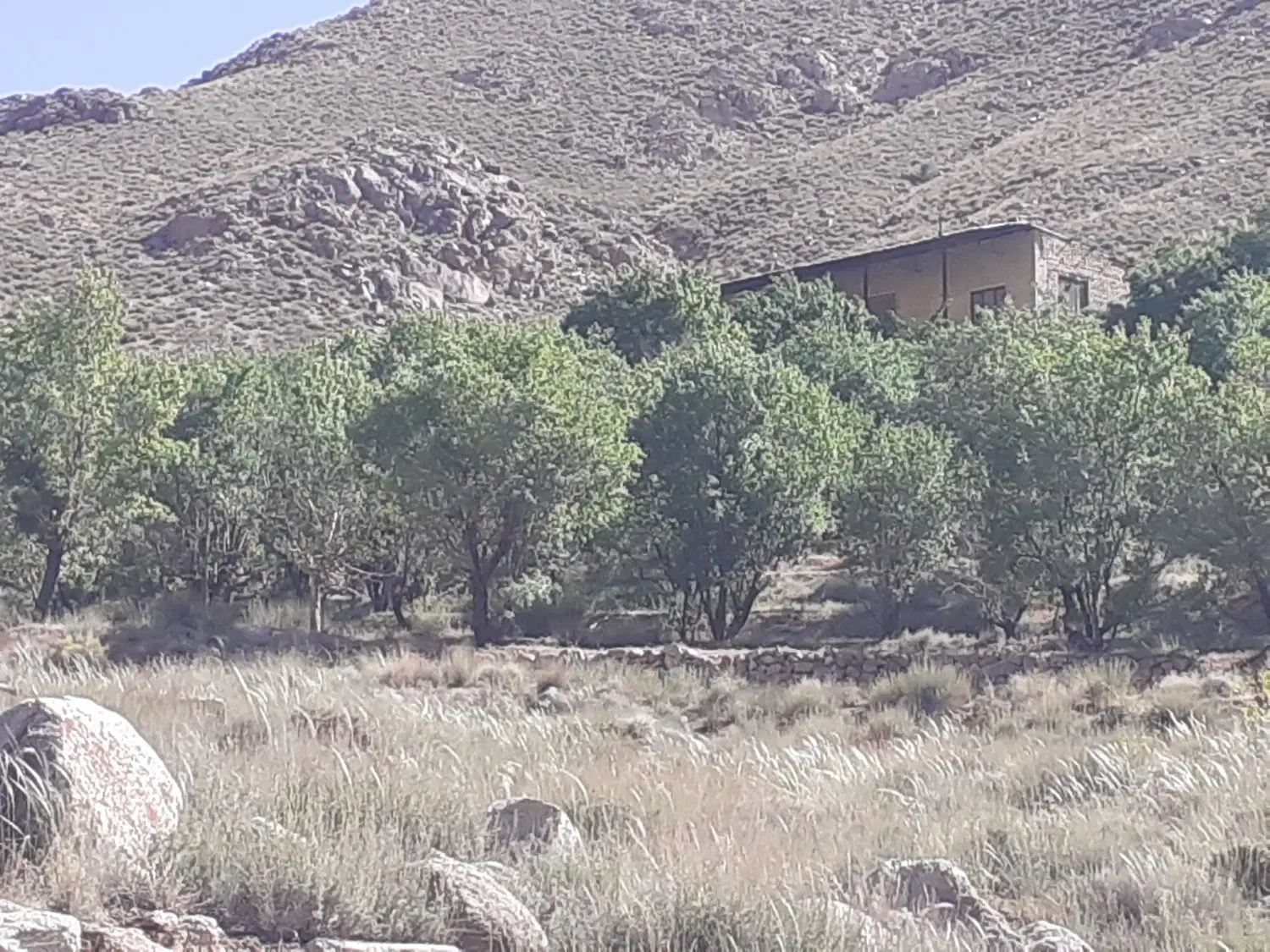 باغ اختصاصی