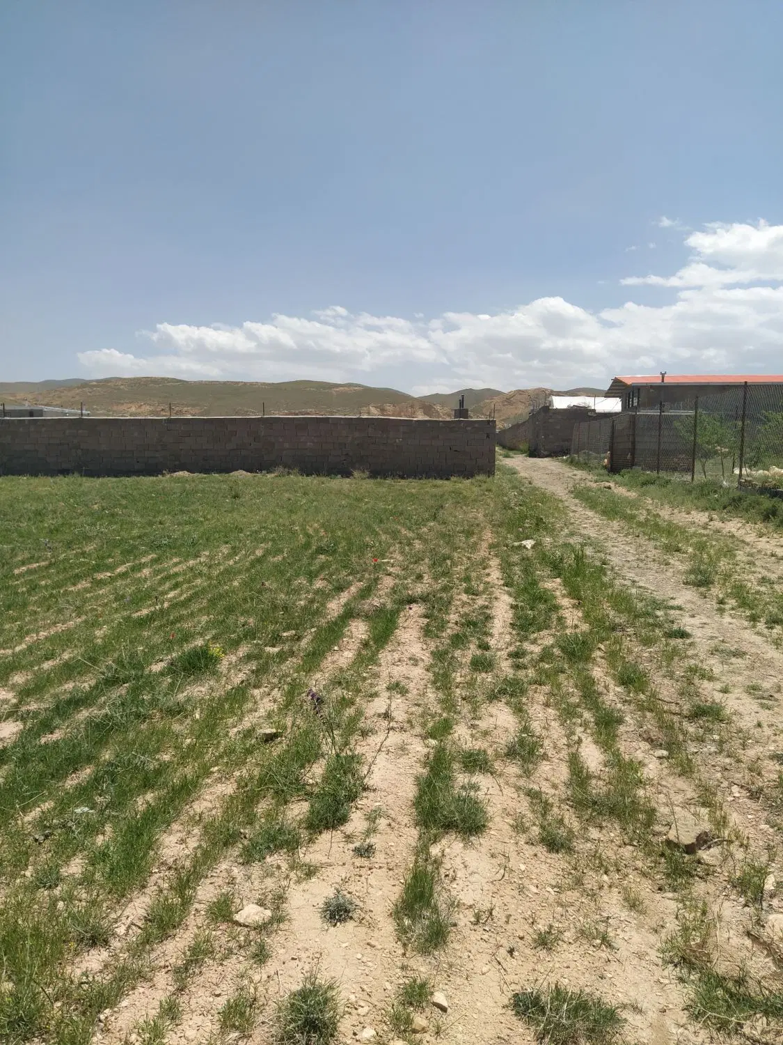 ژمین باغی در آبشینه