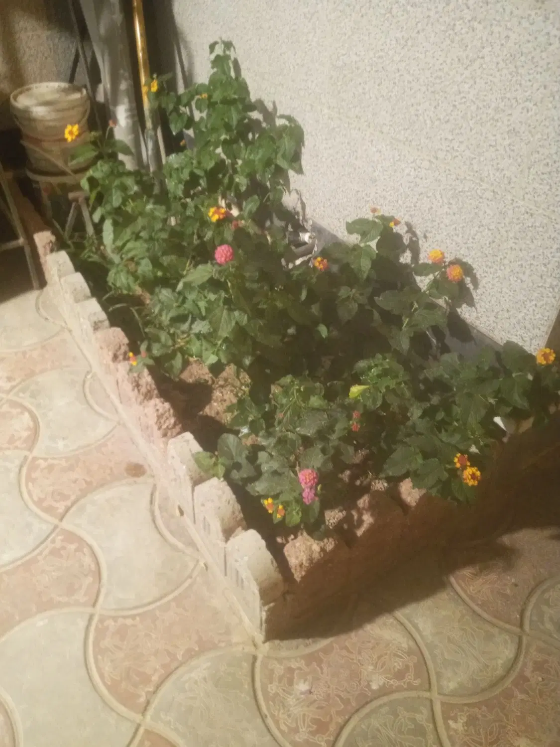 زمین زعفرانیه