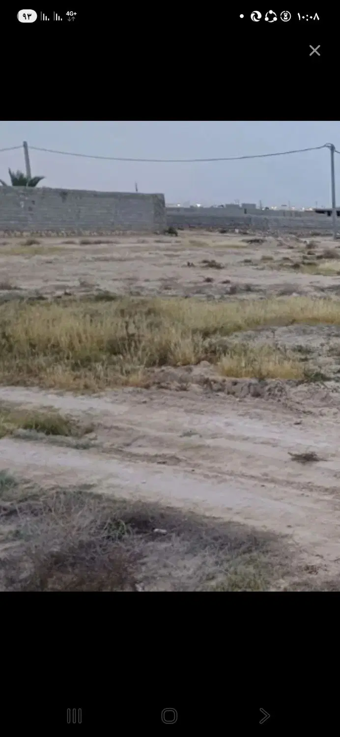 زمین گورک کله بندی