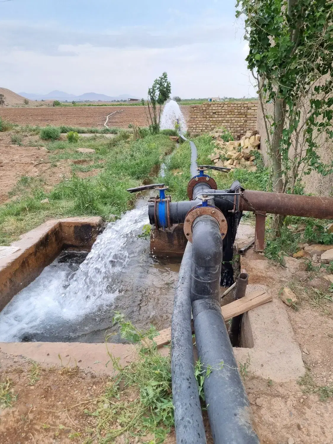 اجاره زمین کشاورزی