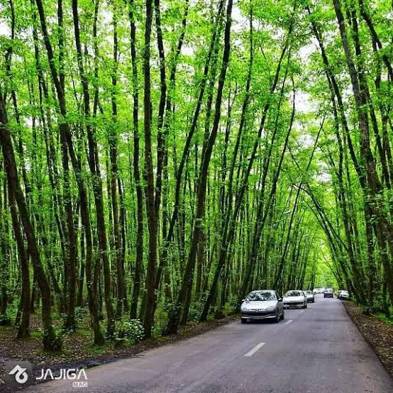 قطعات شهرکی زمین در تشبندان