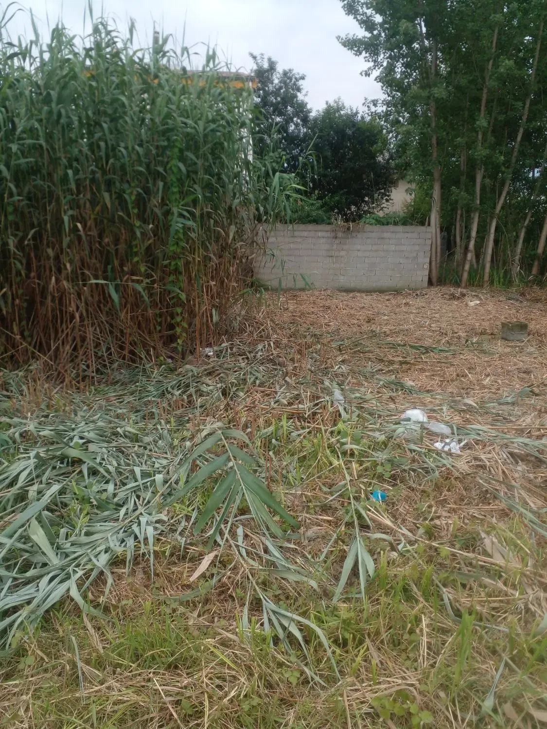 زمین ۱۰۳ متری دو بر دارای پروانه ساخت