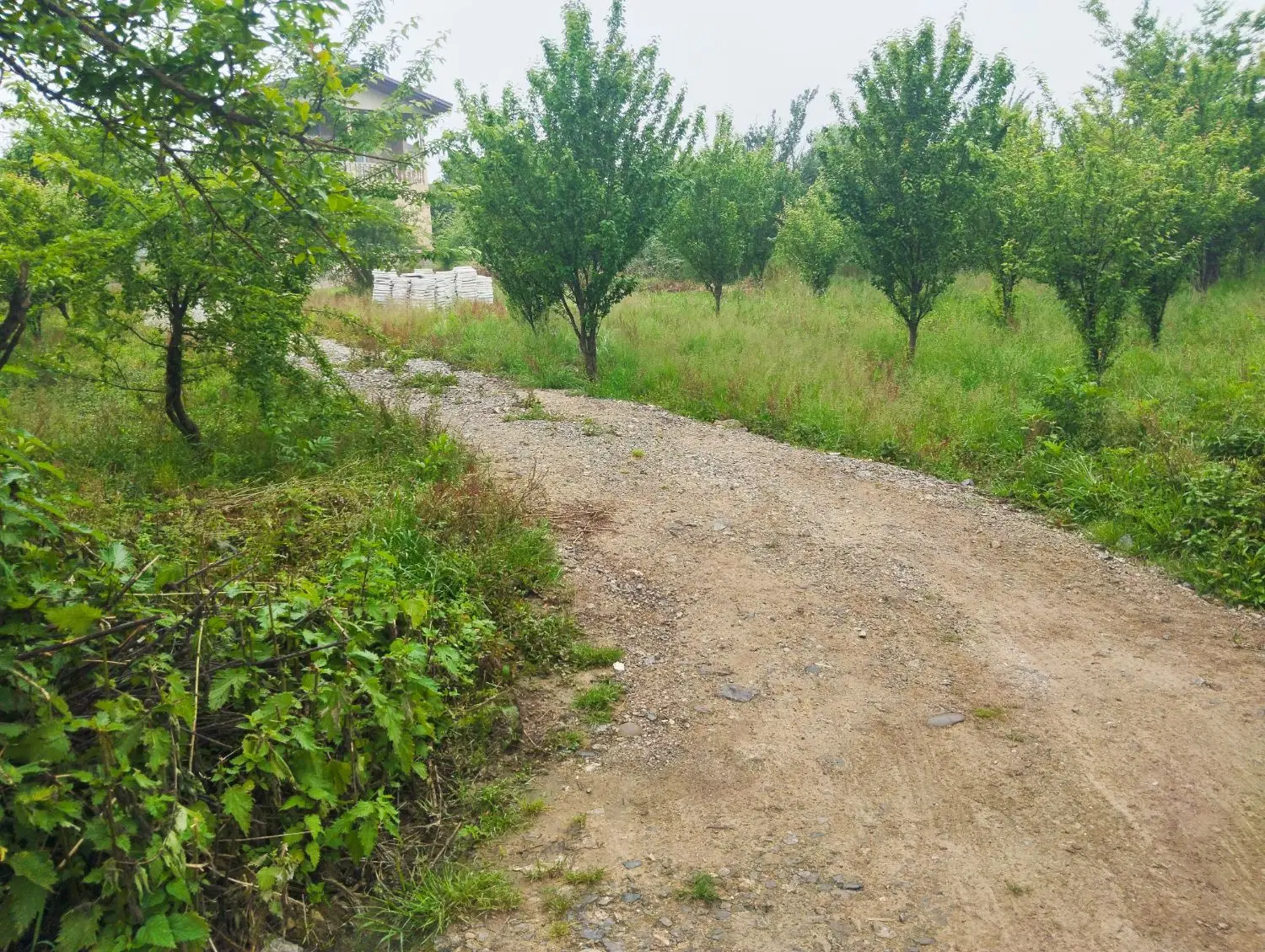 فروش زمین داخل بافت مسکونی  ۵۰۰ متر