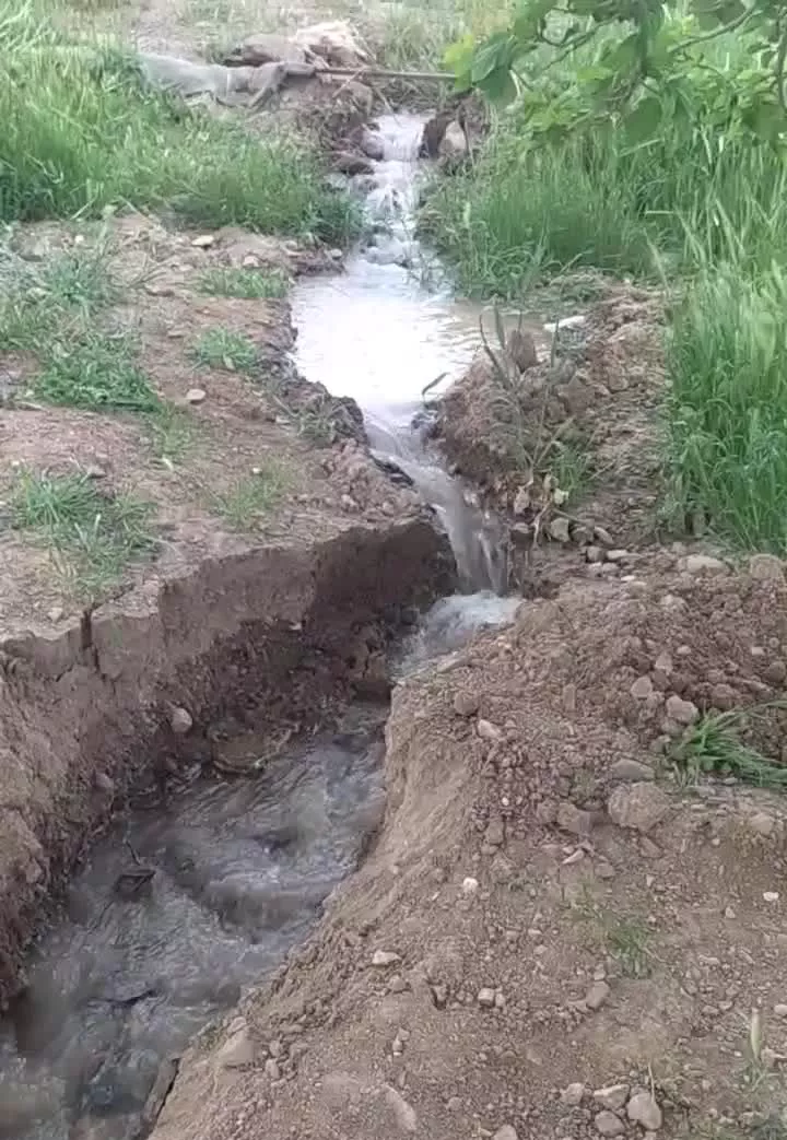 باغ ۳۰۰ متری با درخت