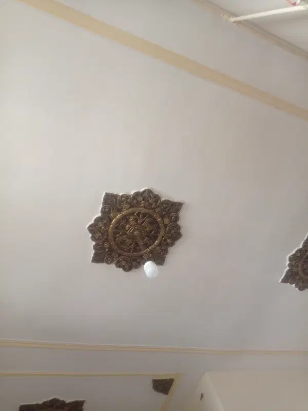 خونه اجاره داده میشه