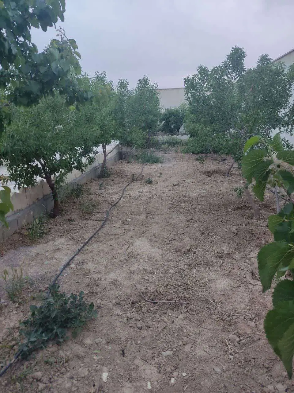 فروش باغ در کهریزسنگ