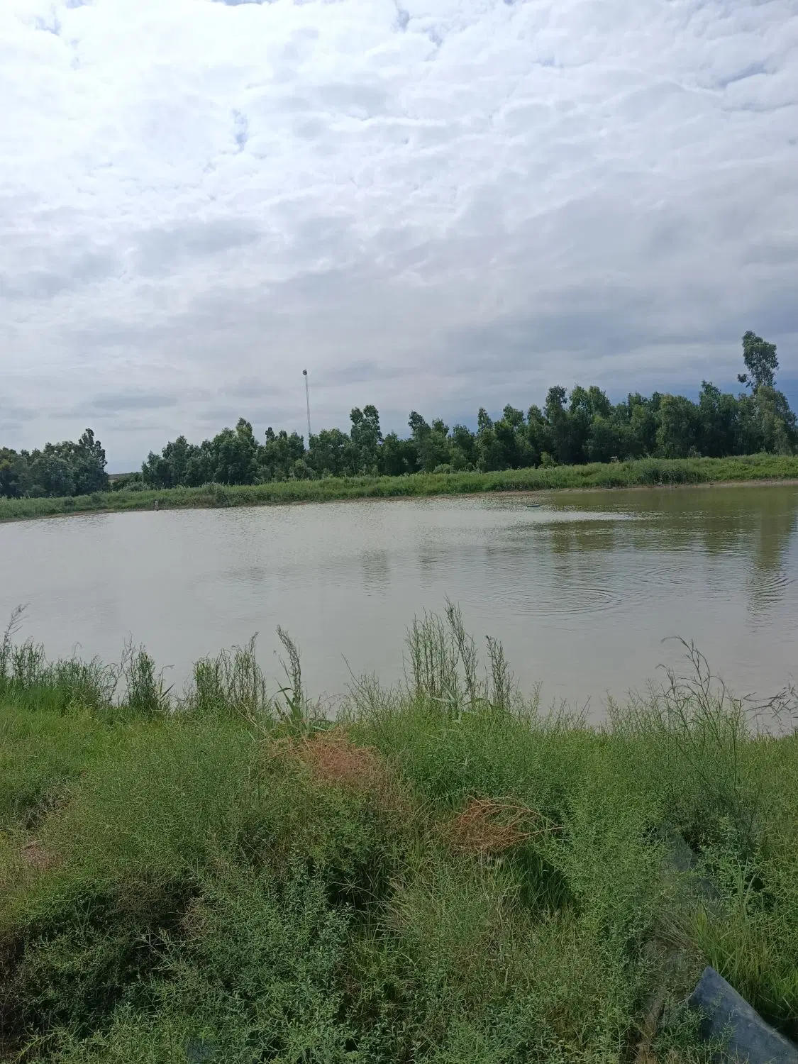 زمین پرورش ماهی با چاه و برق