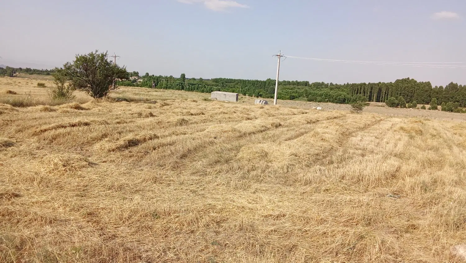 زمین کشاورزی درروستای نصیرآباد به فروش میر سد