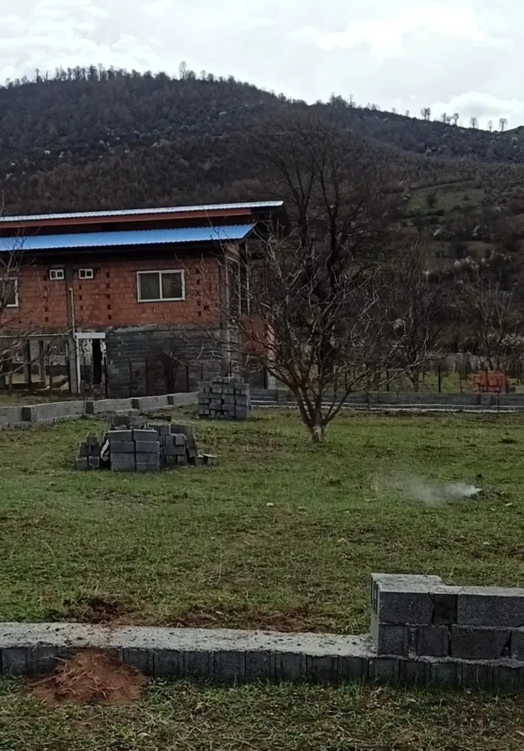 زمین