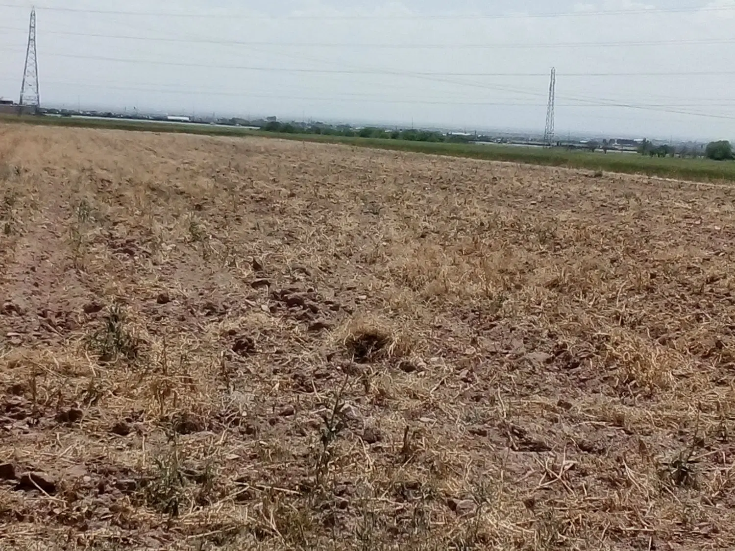 زمین‌کشاورزی‌قولنامه‌ای