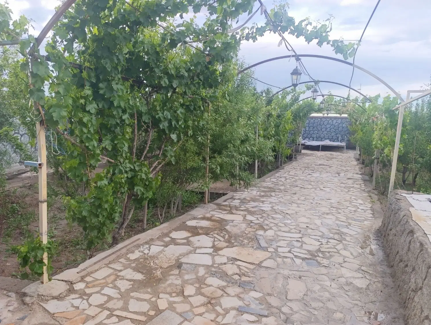 باغی از تکه ای بهشت