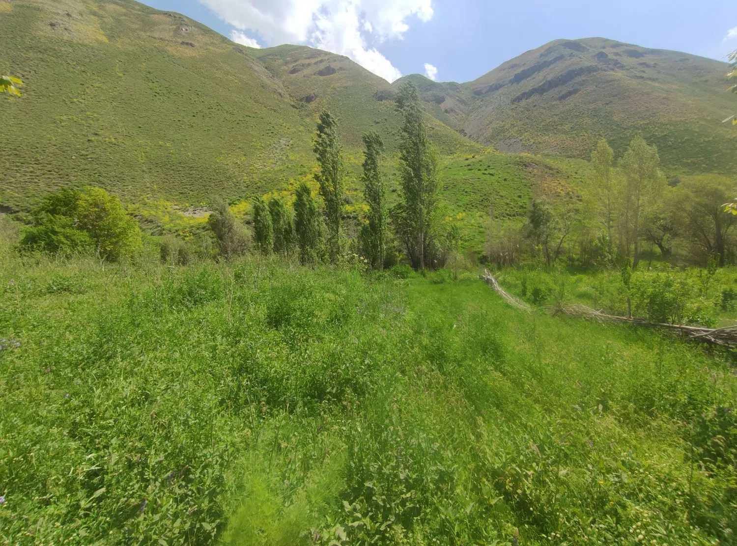 تعاونی وزارت کشور طالقان