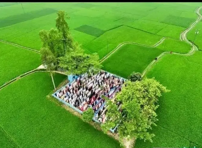 زمین