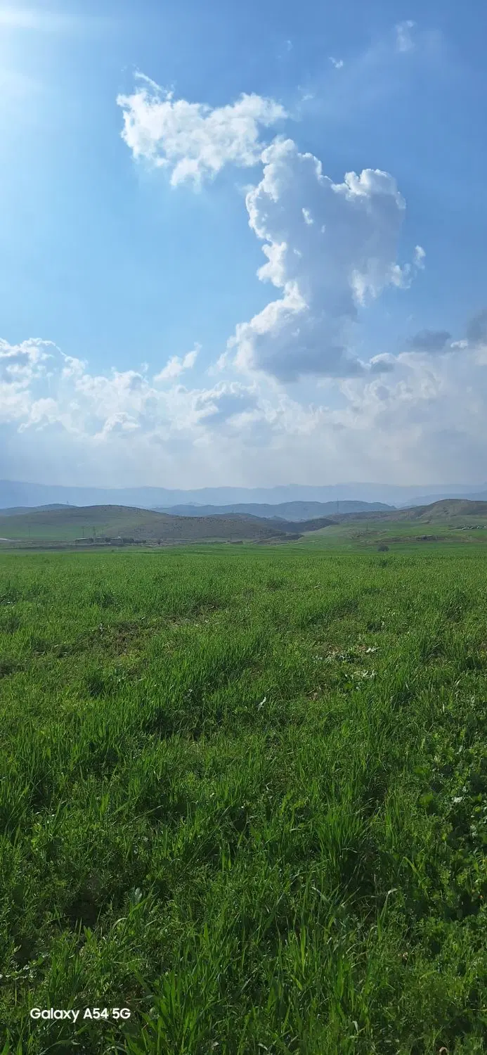 زمین مسکونی واقع در هلایجان چنارستان