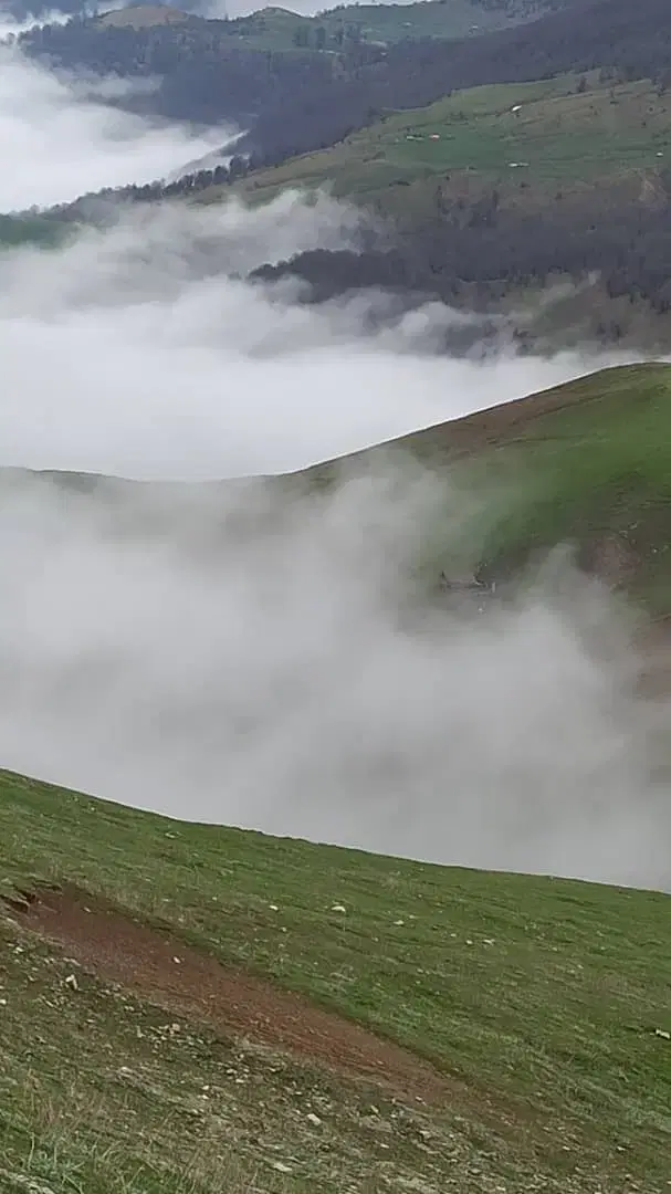 باغ، ویلا، یِر