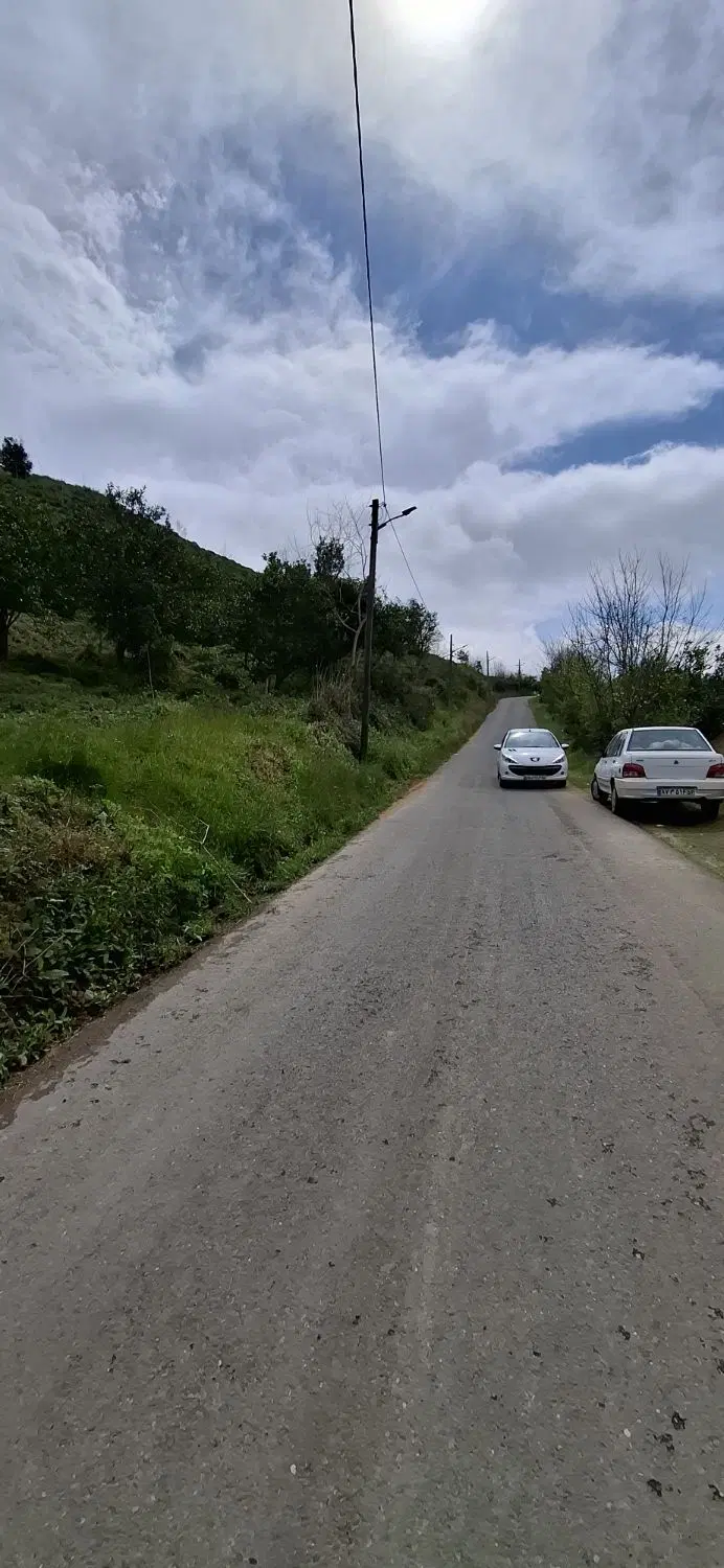 یک قطعه زمین به مساحت ۵۰۰ متر در روستای لیسه رود