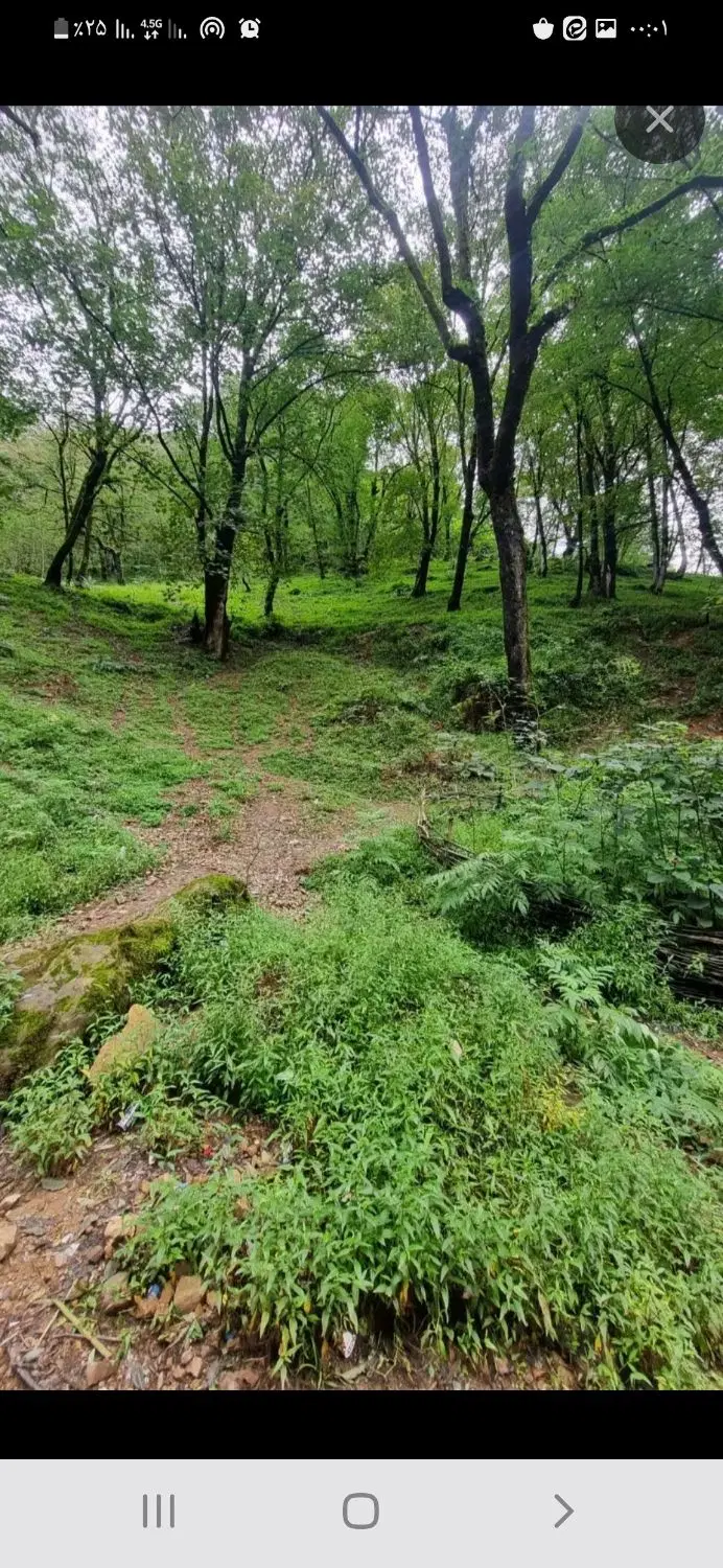 منزل کلنگی مشترک