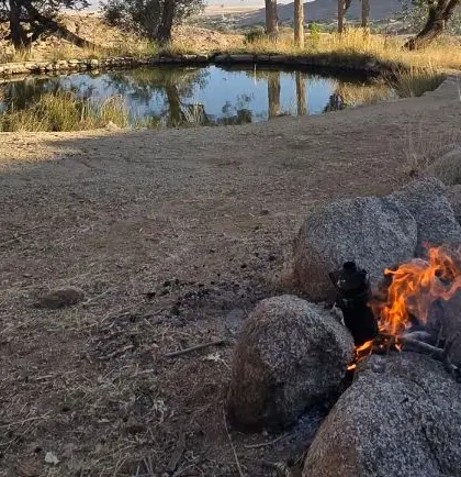 زمین خانه باغ در سخوید نیمه ساز 80درصد قیمت2تومن