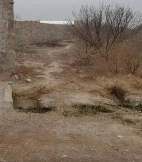 زمین