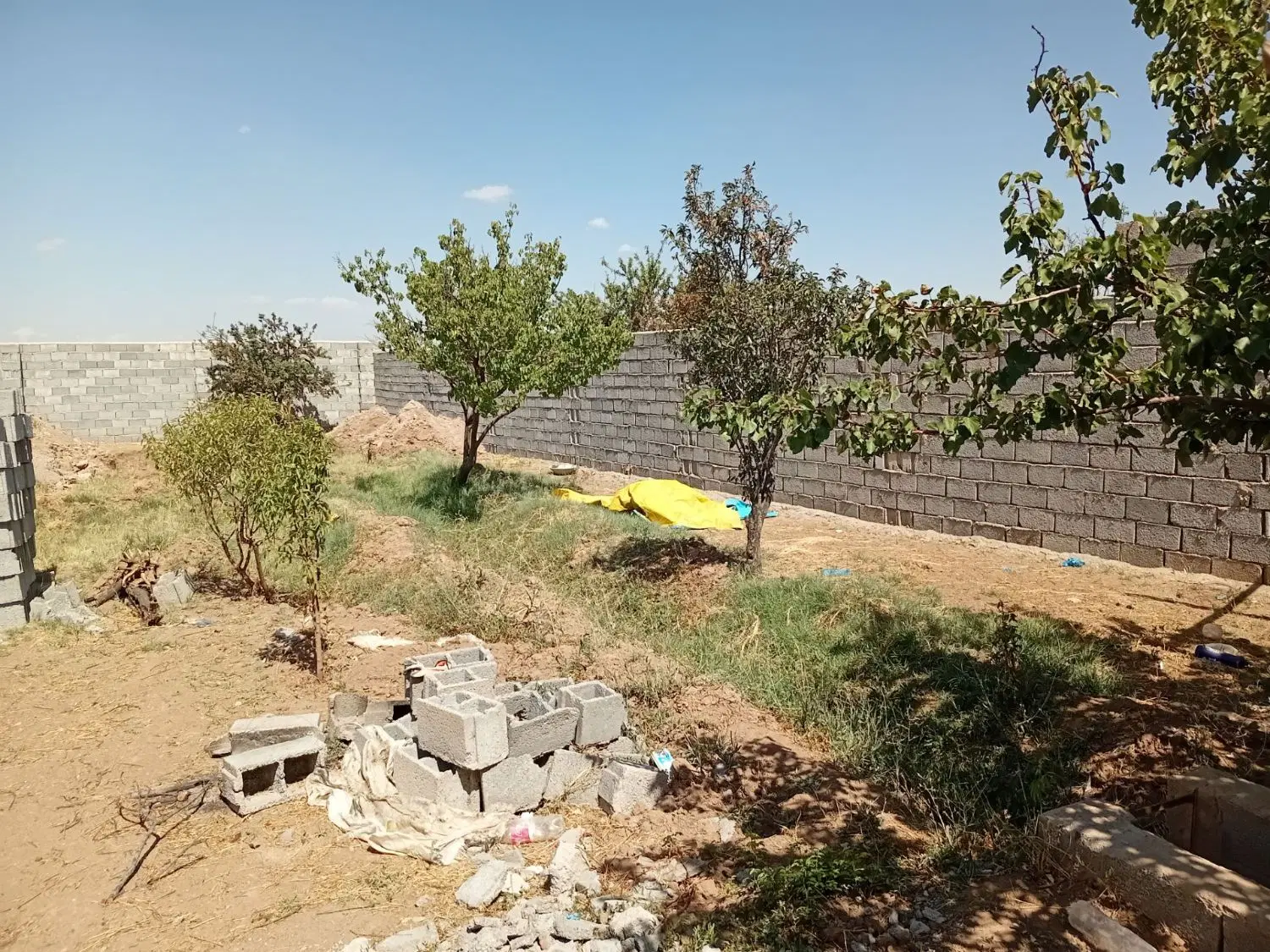 باغ 510متری