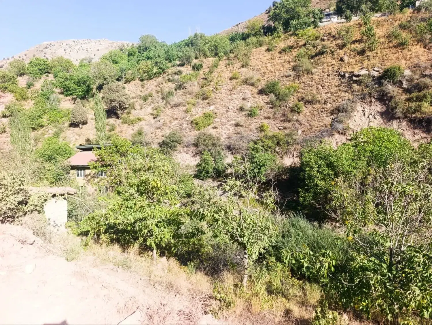 باغ ۱۲۰۰ متری قدیمی روستای جورد اشندر ایرا لواسان