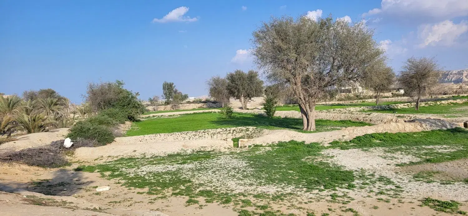 زمین ۱۵۰۰ متری نزدیک اتوبان