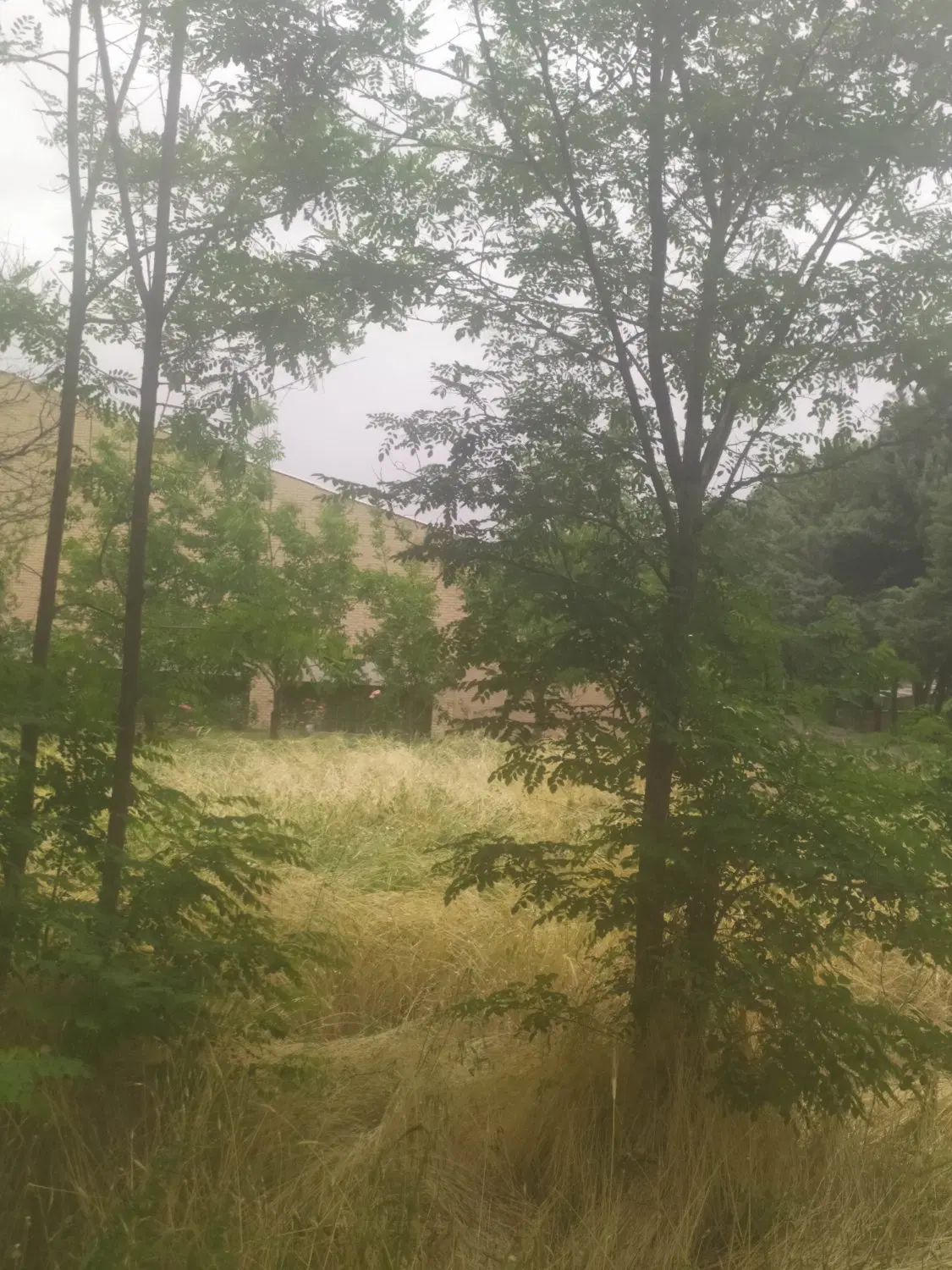 اتاق کوچک برای اجاره میخوام