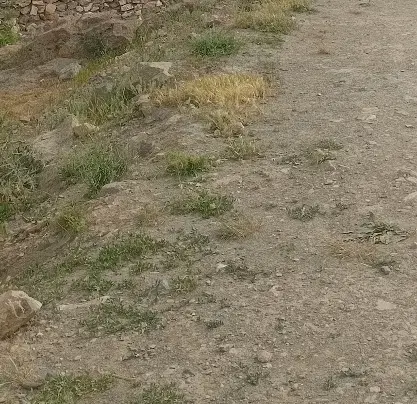 معاوضه زمین با خانه
