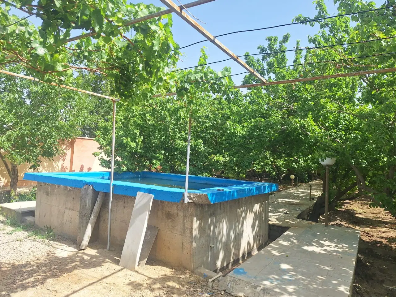 فروش باغ سند تک برگ در شهر ابریشم