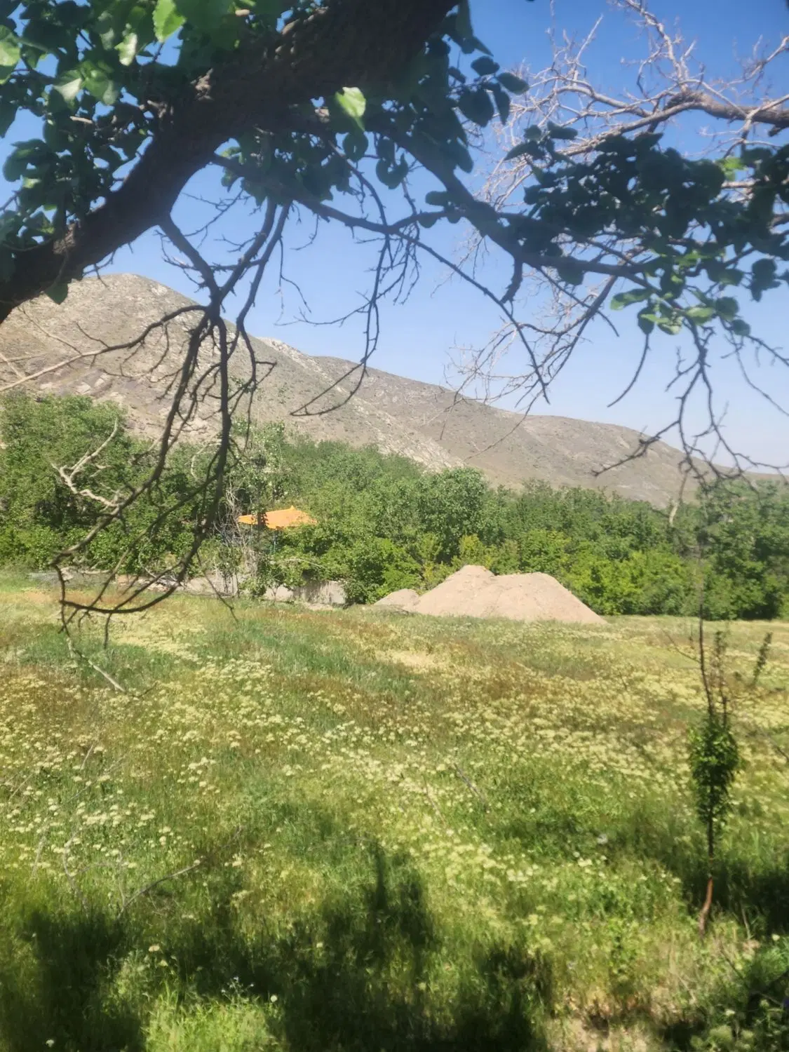 باغ ویلا در شاندیز ابرده  حدود 450متر