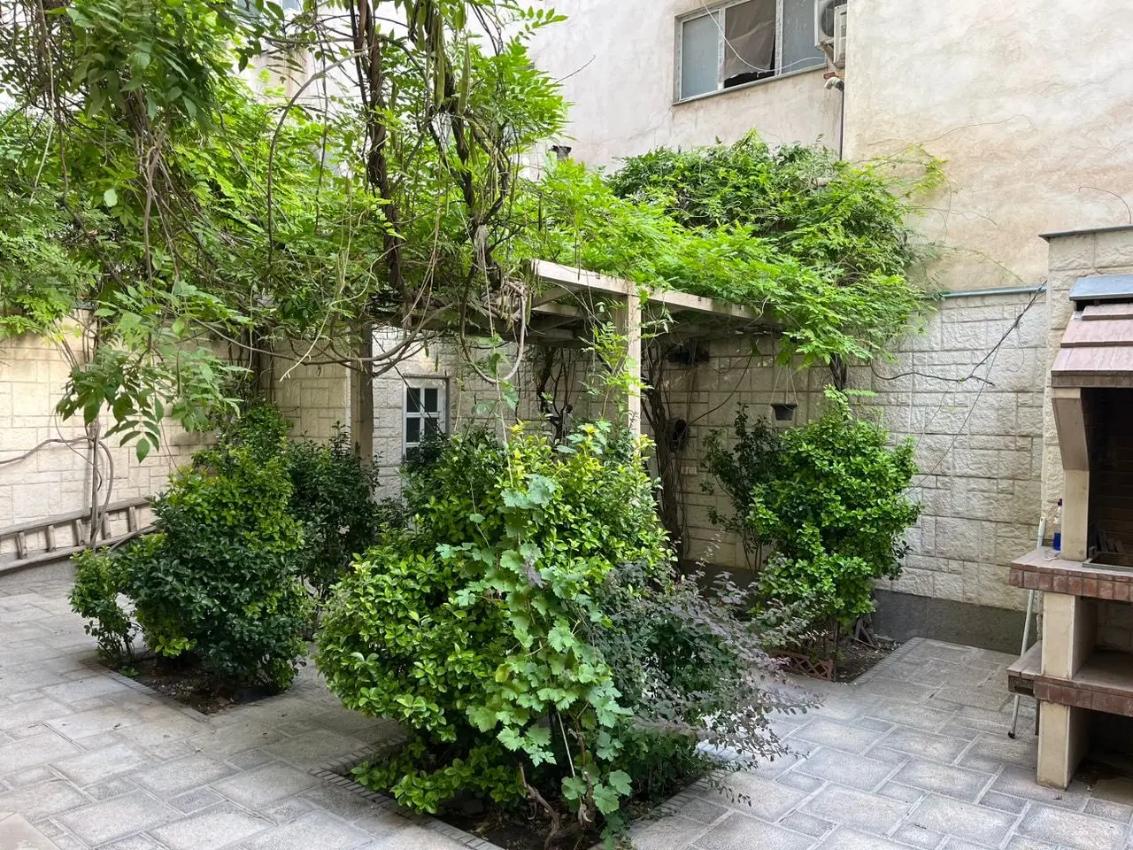 کلنگی ۲۵۰متری فروشی فلسطین