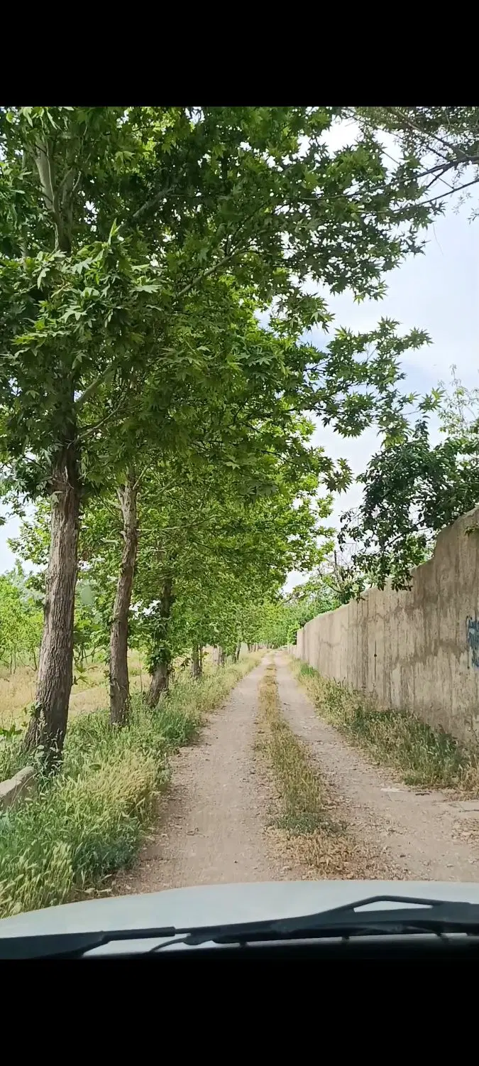 زمین ۳۰۰ متری