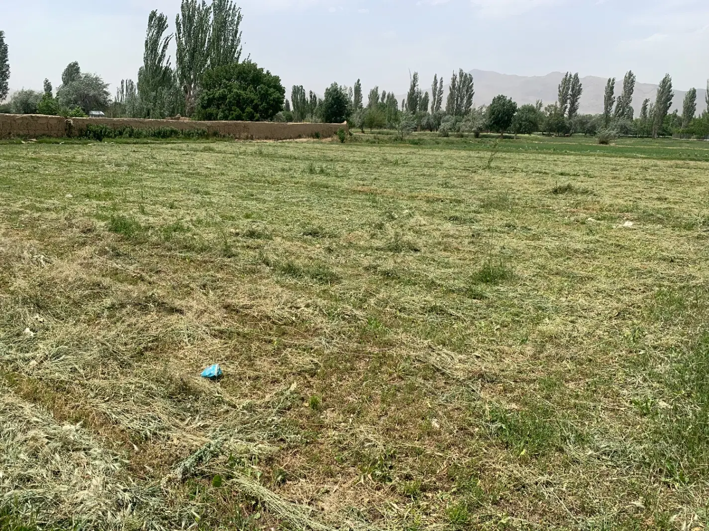 زمین کشاورزی ابلولان