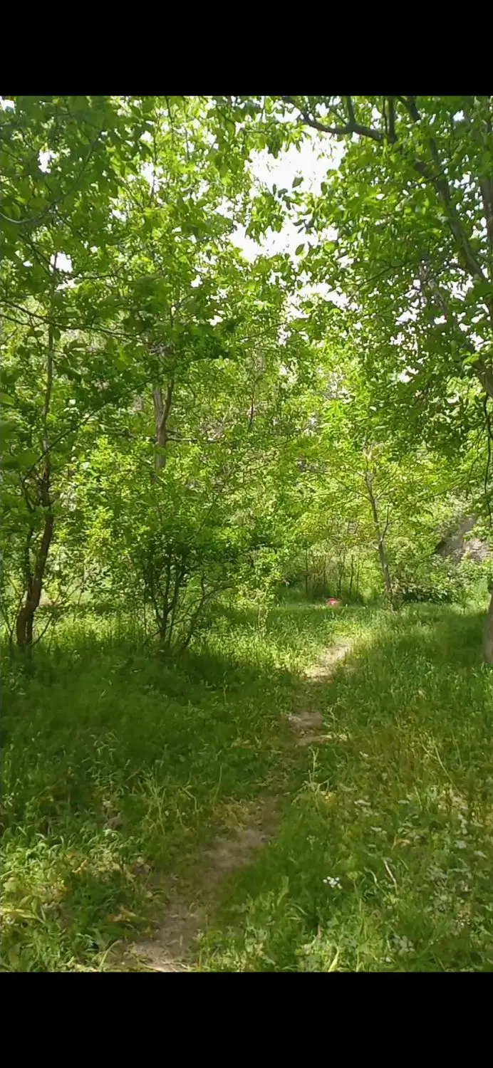 زمین گردوزار