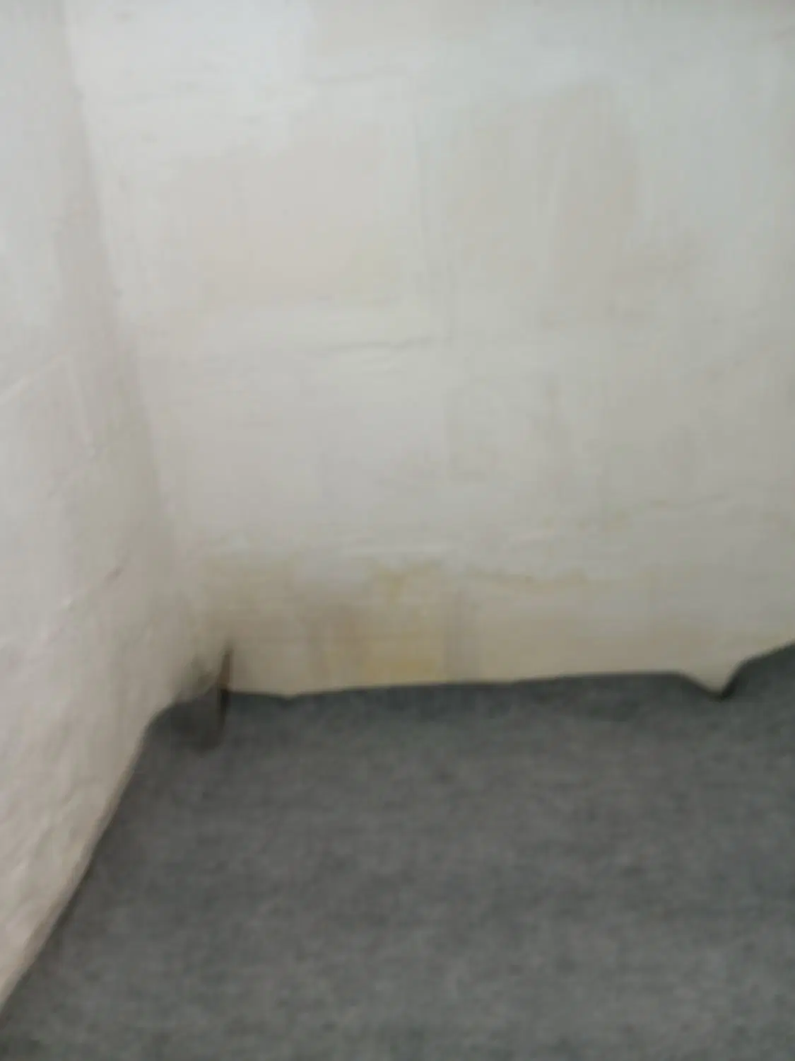 اجاره اتاق یک تخته و مستقل