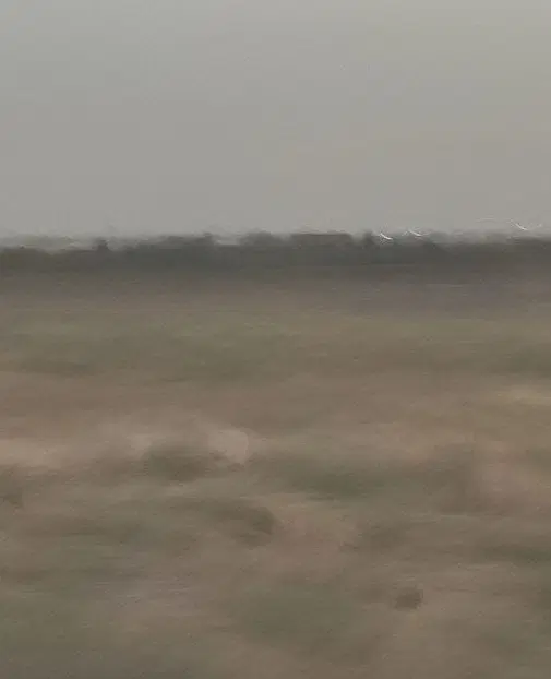 زمین