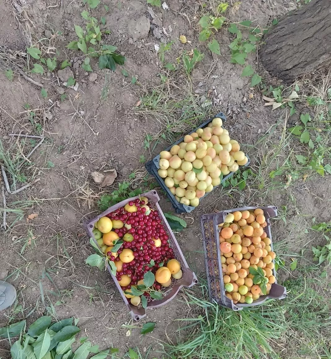 فروش  باغ ۴۲۰ متری آبشینه