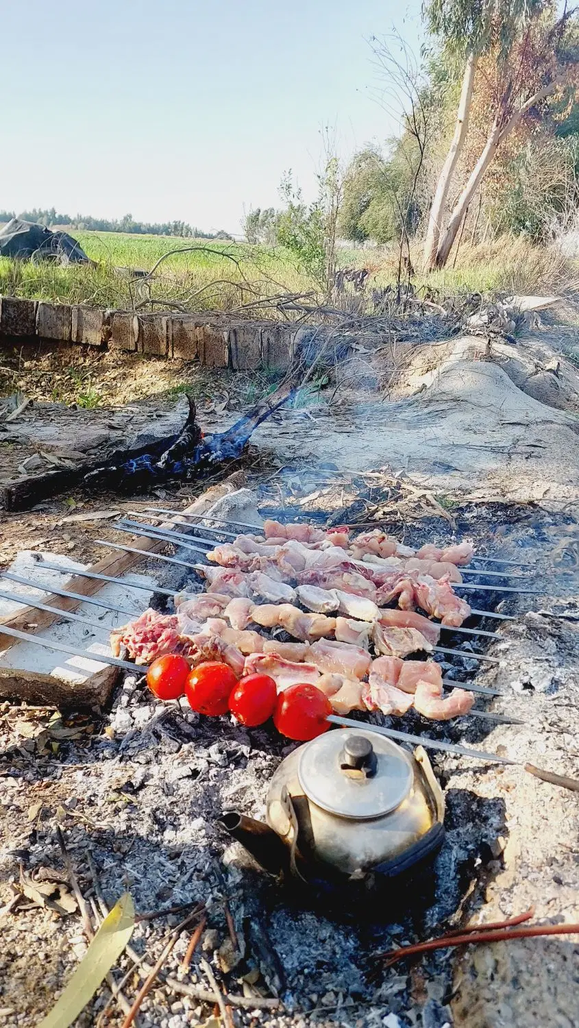 فروش زمین باغ ویلا