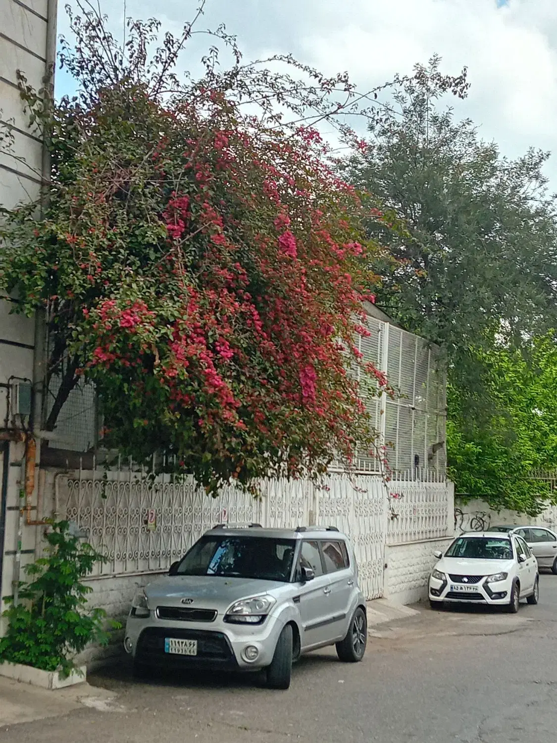 مشارک در ساخت آپارتمان احمدسرگوراب