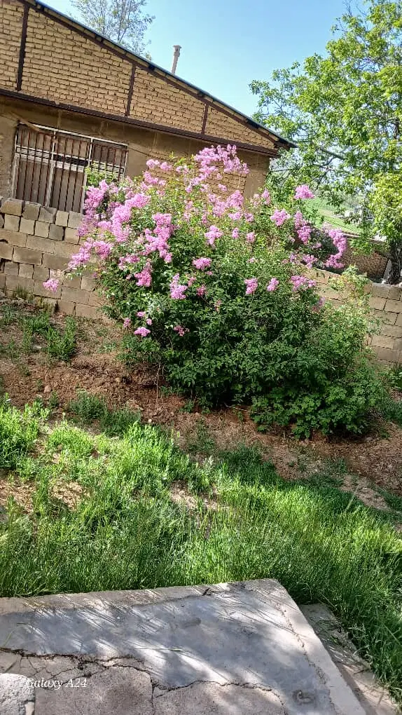 زمین ساختمانی۱۲۵۰ متر متری ۷۵۰۰۰۰۰