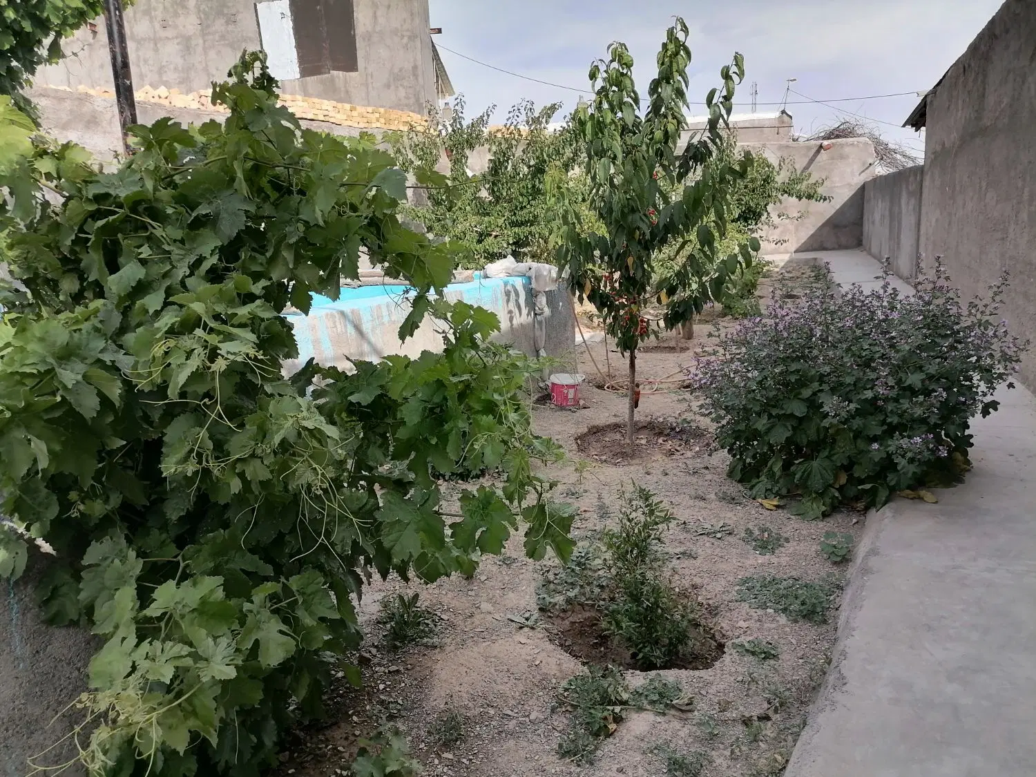 خانه باغ ویلایی