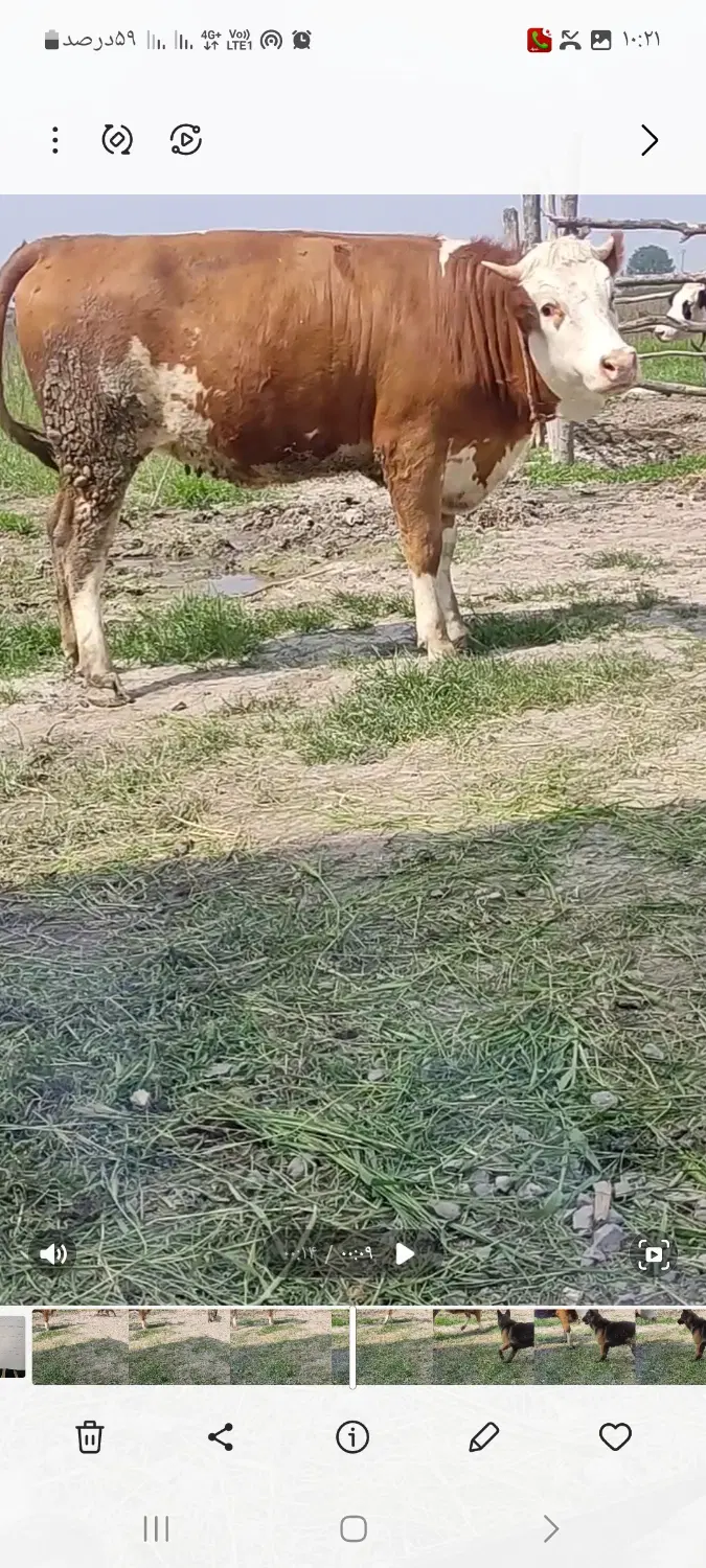 زمین کشاورزی