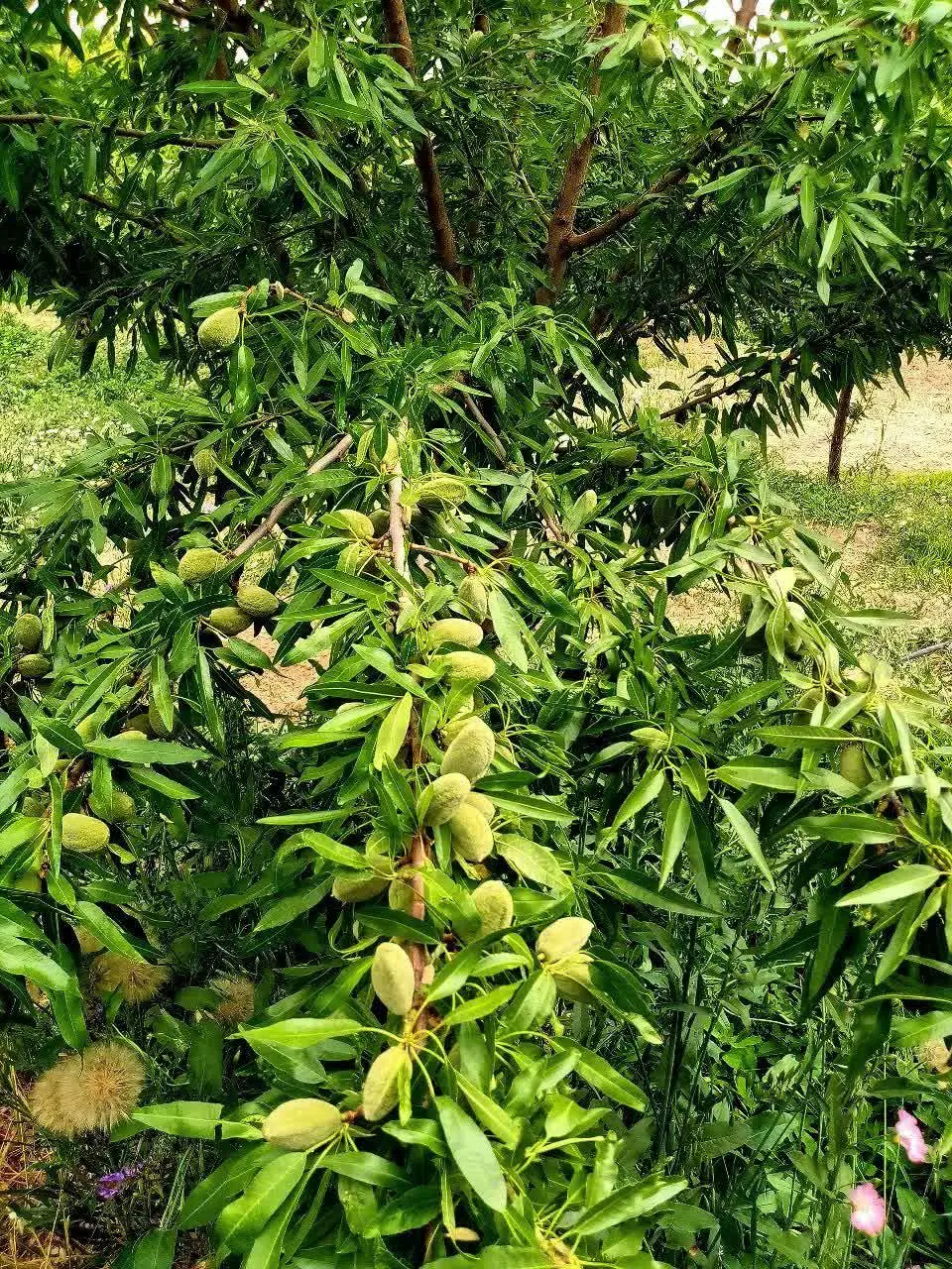 بهشتی که دنبالش بودی همینجاست