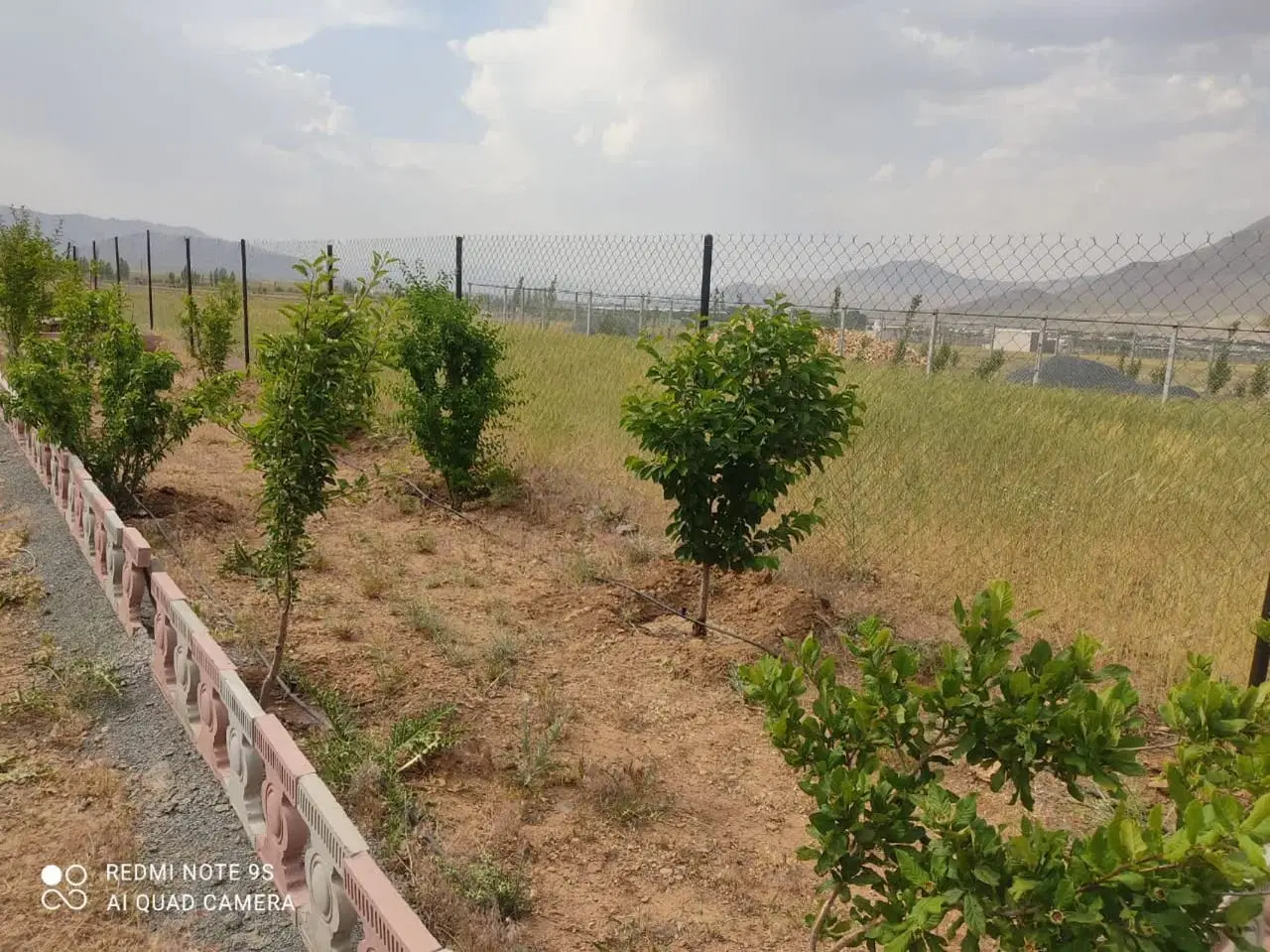 باسلام زمین باغی فنس کشی شده