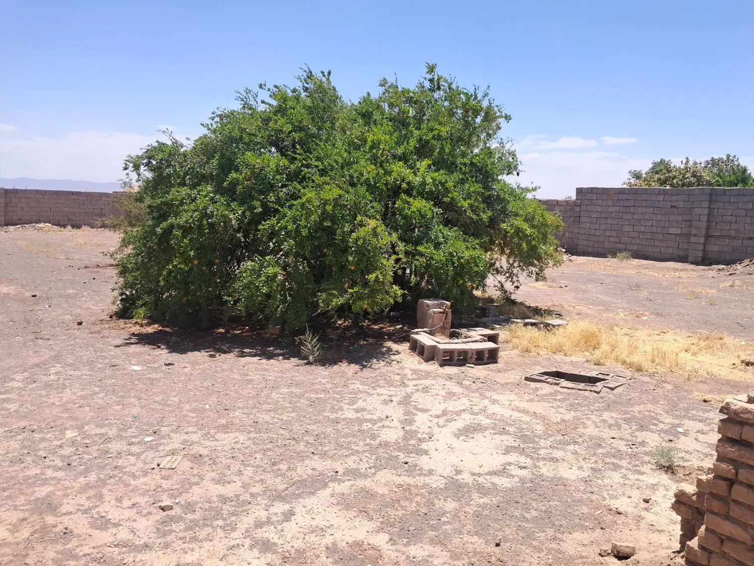 خونه قدیمی رفسنجان روستای ناصریه ۵۲ قصب