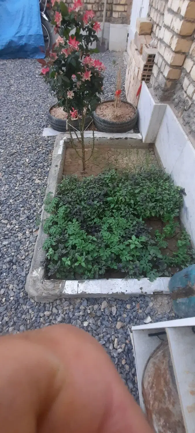 فروش زمین زراعی